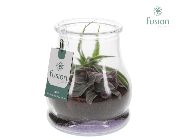 <h4>Glas Druppel met Arrangement</h4>