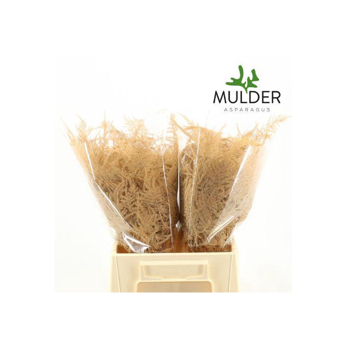 <h4>ASP OV KLB H%</h4>