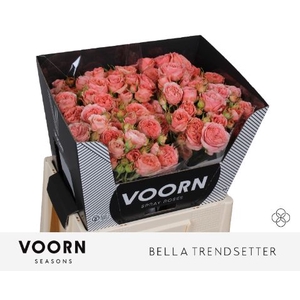 R TR BELLA TRENDSET