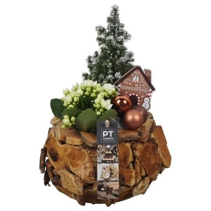 PTCHB9813 Arrangementen Kerst