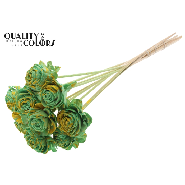 <h4>Shola Beauty Rose 6cm on stem Splashed Mint/Yellow</h4>