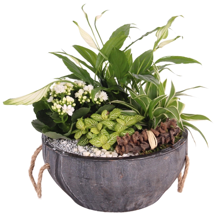 <h4>Yearround Arr. Indoor Concrete Pot with Rope Handle Ø24cm 4PP</h4>