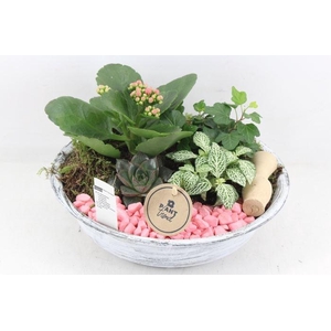 0533 ZINK INDOOR ROZE/WIT