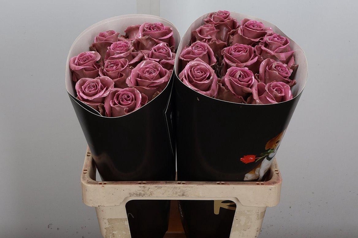 <h4>Wax-Rozen Wax Classic Pink</h4>