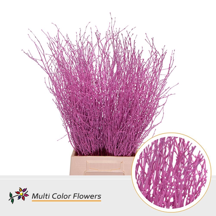 <h4>Betula Birch Rose Niew (Pink)</h4>