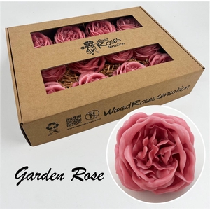 Zijde R Garden Wx Oud Roze