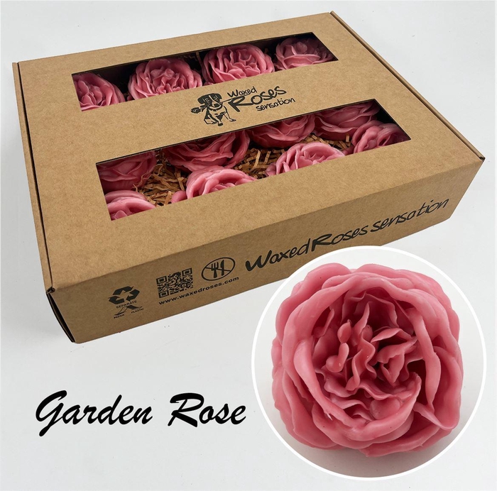<h4>Zijde R Garden Wx Oud Roze</h4>