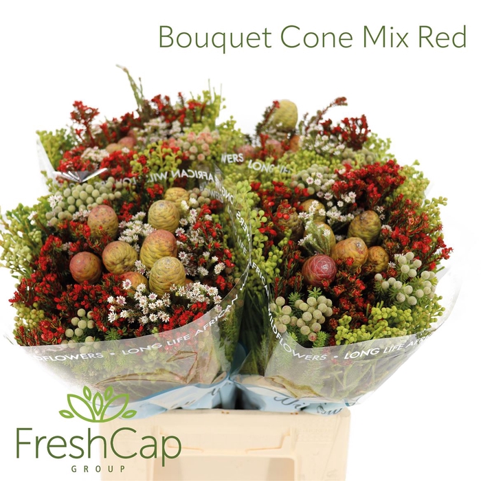 <h4>Bouquet Cone Mix Red</h4>