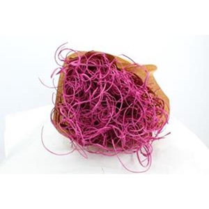 Droog Tin Tin Cerise Znd Glx40