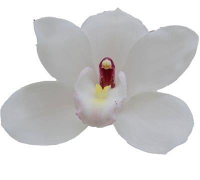 <h4>CYMB GR DOS PUEBLOS</h4>