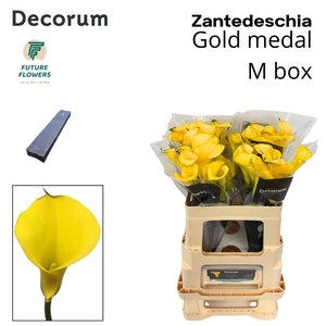 ZANT GOLD MEDAL MEDIUM BOX 55 CM 40 ST.