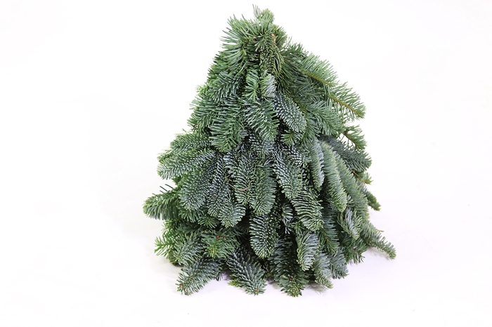 <h4>Christmas Tree hand made</h4>