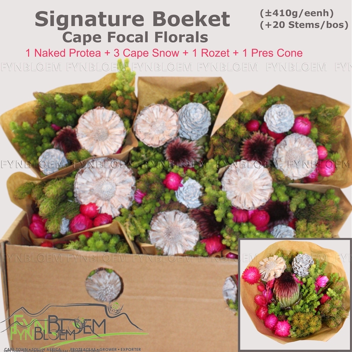 <h4>PROTEA PER BOS</h4>