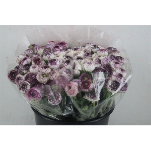 Ran Elegance Cappucino