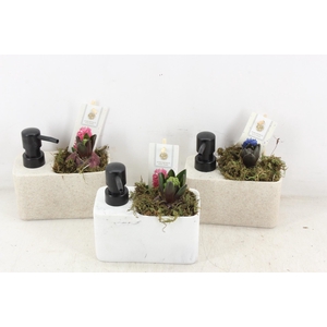 arr4 Hyacint FL - Soap Dispenser