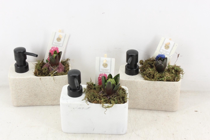 <h4>arr4 Hyacint FL - Soap Dispenser</h4>