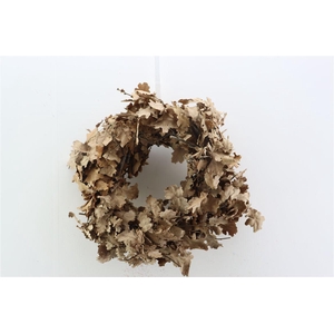 Wr Oak Mini Natural Brown 30cm