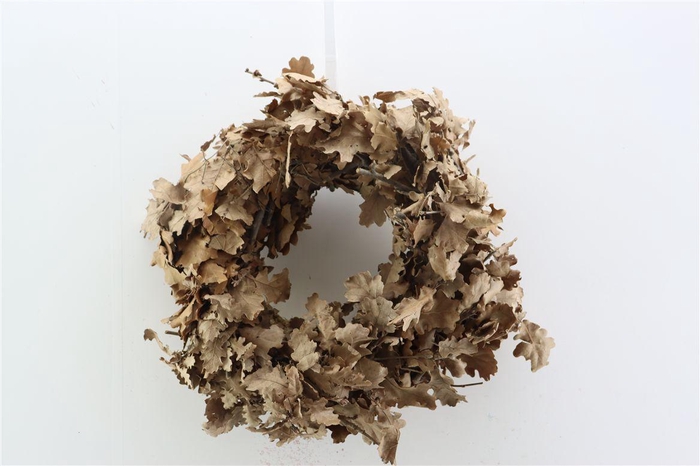 <h4>Wr Oak Mini 30cm Natural Brown</h4>