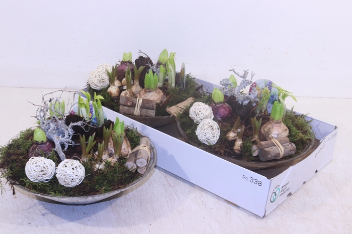 <h4>ARR BOL KNOLGEWAS</h4>