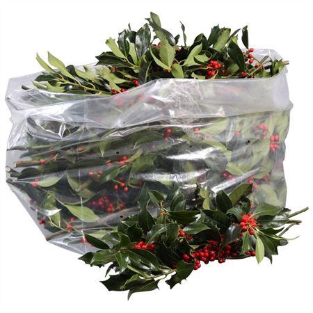 <h4>HULST GROEN MET BES</h4>