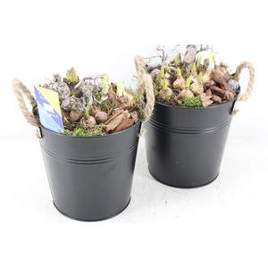 arr4 Bollenmix MB - Zink emmer black x3