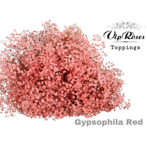 Gyps Pa Red