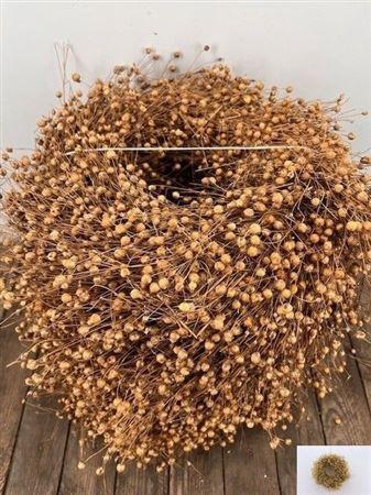 <h4>Wr Vlas 30cm Natural</h4>