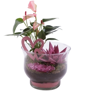 Mothersday Arr. Indoor Glass Tulip Vase Ø16cm 2PP