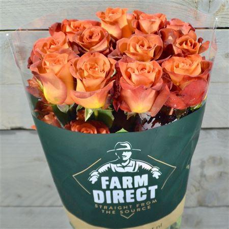 <h4>R Gr Coffee Break</h4>