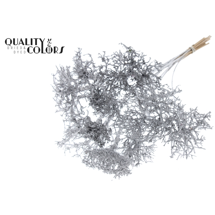 <h4>Dry Tree on stem Silver</h4>