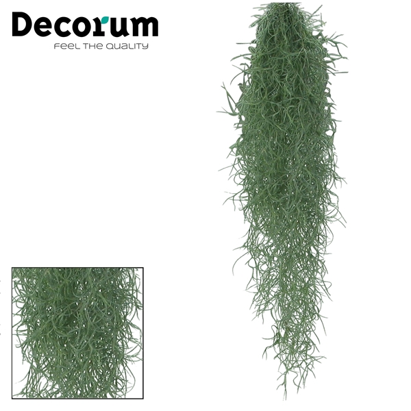 <h4>Tillandsia Usneoides L (Decorum)</h4>