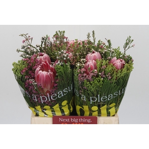 BQ Protea 3 Flowers