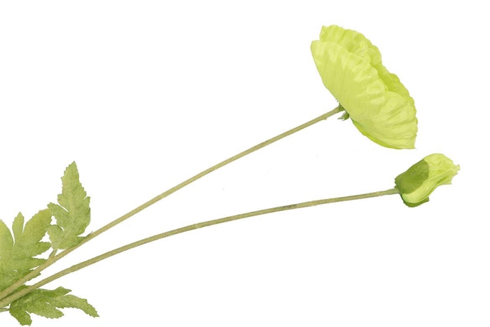 <h4>Silk Poppy Leaf Green 96cm Nm</h4>