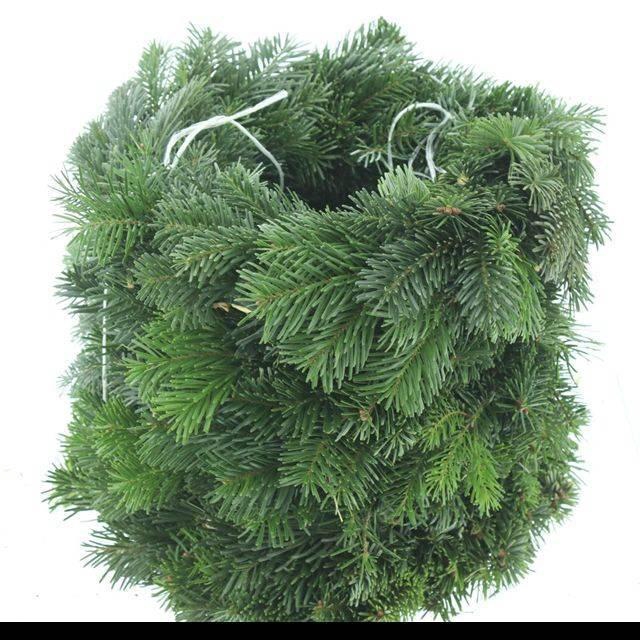 <h4>NORDMAN KRANS</h4>