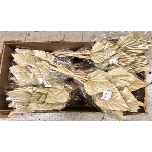 DROOG PALMSPEAR NATUREL X400 P.DS