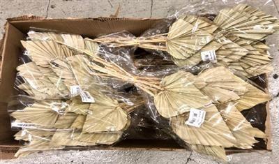 <h4>DROOG PALMSPEAR NATUREL X400 P.DS</h4>