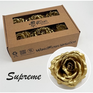 Zijde R Supreme Goud Wx