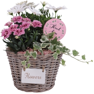 Mothersday Arr. Outdoor Willow Basket Flowersign Ø20cm 3PP