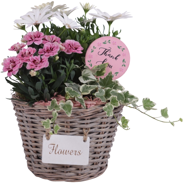 <h4>Mothersday Arr. Outdoor Willow Basket Flowersign Ø20cm 3PP</h4>