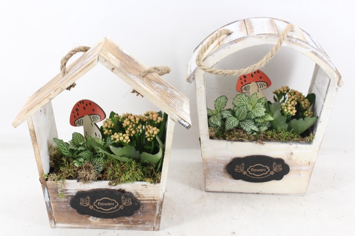 Arr2 Td - Hout Huis Mix - Oranje/wit