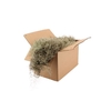 Mos Tillandsia Grof