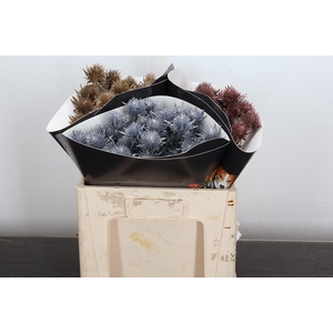 Eryn Wx 50cm Mix Copper