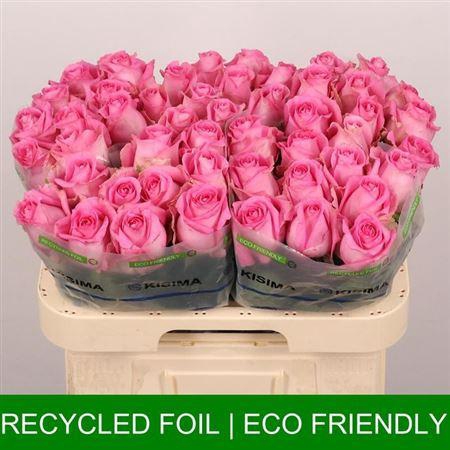 <h4>R Gr Revival</h4>