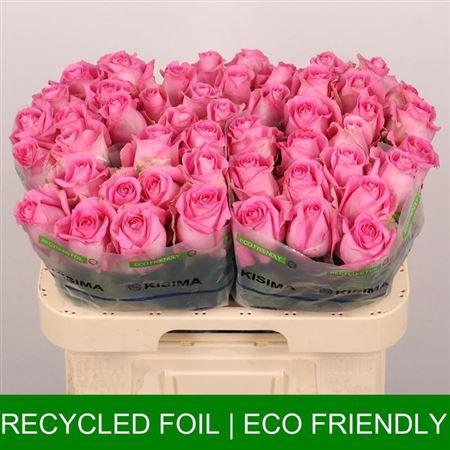 <h4>R Gr Revival</h4>