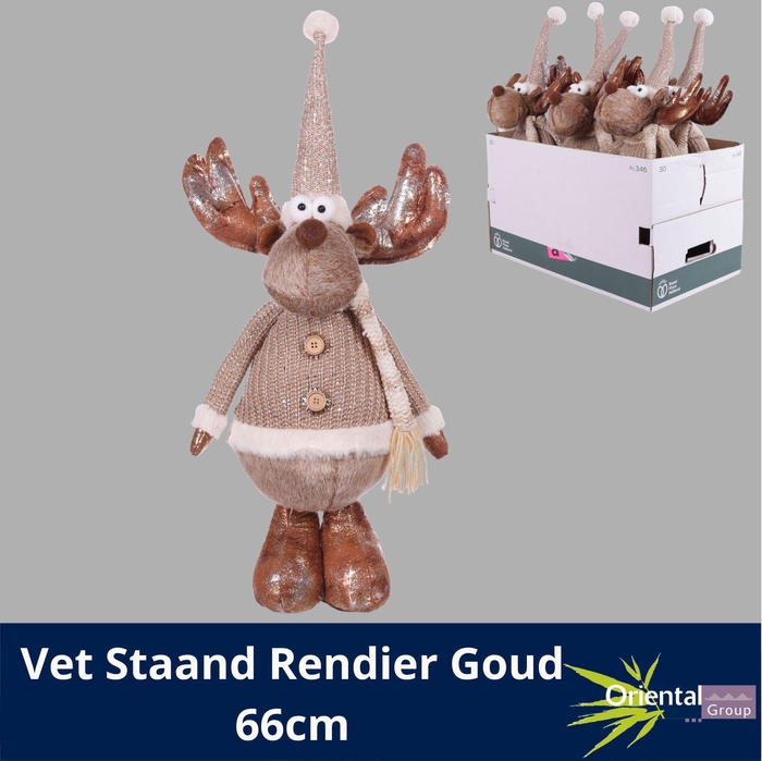 <h4>HUIS EN TUINDECO H%</h4>