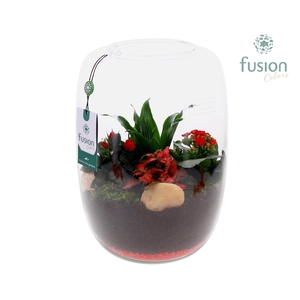 Green Bottle Love, Isabella XLarge met Arrangement D23