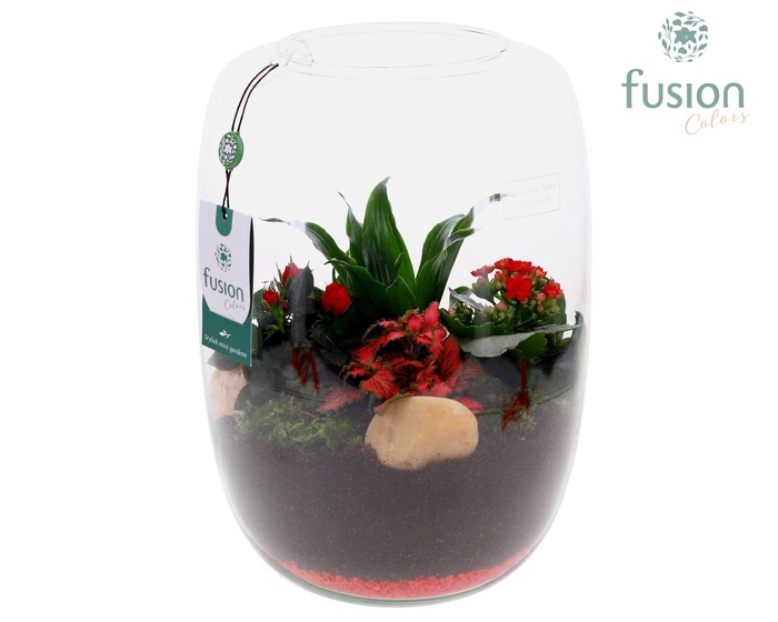 <h4>Green Bottle Love, Isabella XLarge met Arrangement D23</h4>