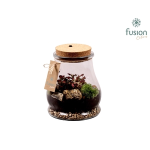 Terraruim met kurk incl. verlichting