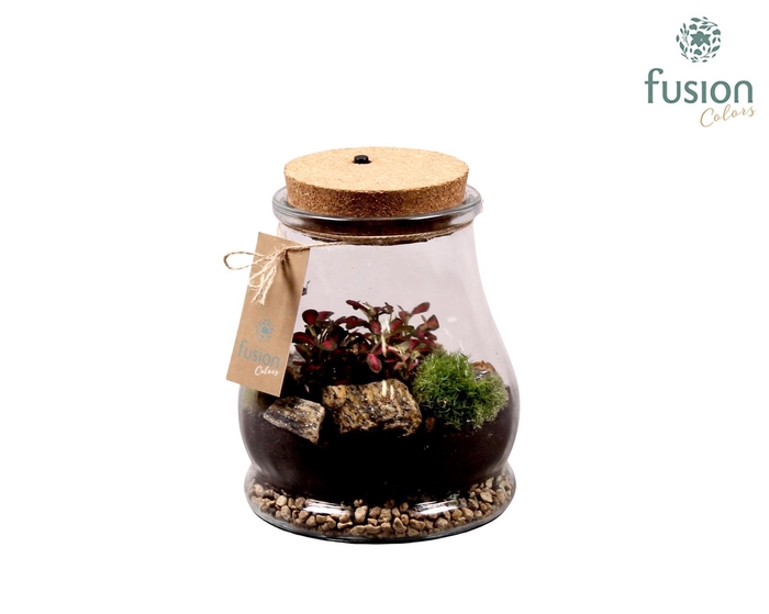 <h4>Terraruim met kurk incl. verlichting</h4>