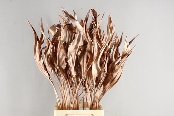 <h4>Df Strelitzia Leaf Copper</h4>